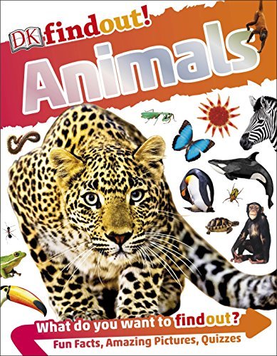 Animals (DKfindout!) By DK