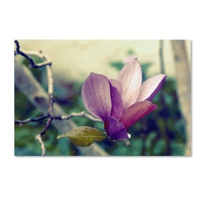 Pink Magnolia Artwork by Patty Tuggle, 22 by 32-Inch