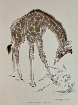 Ralph Thompson - Giraffe - S/N Lithograph - Signed - Excellent Condition - 21x15