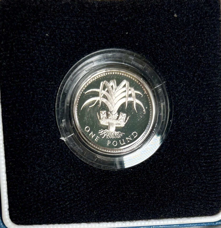 1985 United Kingdom Silver Piedfort Proof One Pound Welsh Leek Coin w/ Box COA! - Image 2 of 4
