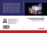 Sinergobetonirowanie W Holodnom Klimate Igor' Kuz'min