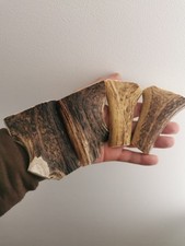 323.KNIFE HANDLE.Red Deer  Horn Blanks for Knife HANDLE(NATURAL).