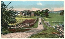 Road Through a Field --POSTCARD