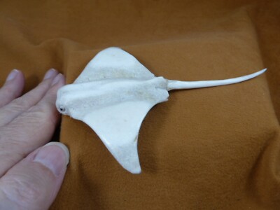 (MANTA-W8) Manta ray shed ANTLER figurine Bali detailed figurine Mobula rays