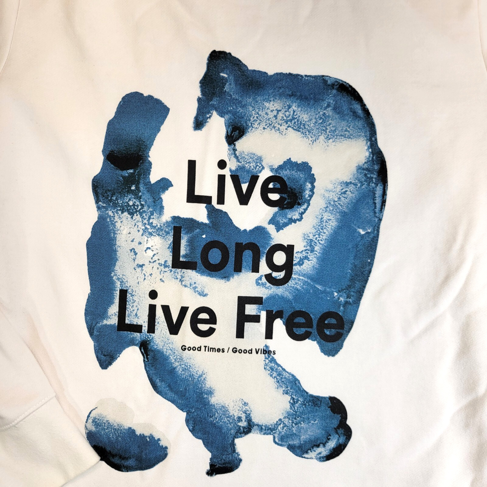 H&M  Men’s Pullover Fleece Good Vibes Live Long Live Free Sweatshirt Medium thumbnail 2