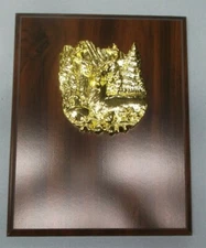 gold deer plaque 8 x 10 cherry finish trophy Free lettered plate personalized