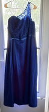 David's Bridal Blue Plus Size 18 One Shoulder Lace Gown Long Formal Dress