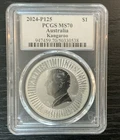 2024 Australian Silver Kangaroo 1 oz — photo from another recent sale