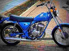 Harley Davidson SS 250 1976 2 A4 Photo