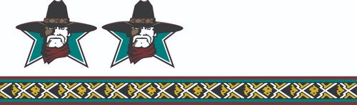 San Antonio Texans CFL Full Size Football Helmet Decals - Picture 3 of 3
