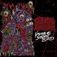 Celestial Sanctuary - Visions Of Stagnant Blood - Vinyl Record 12EP - G1398Z