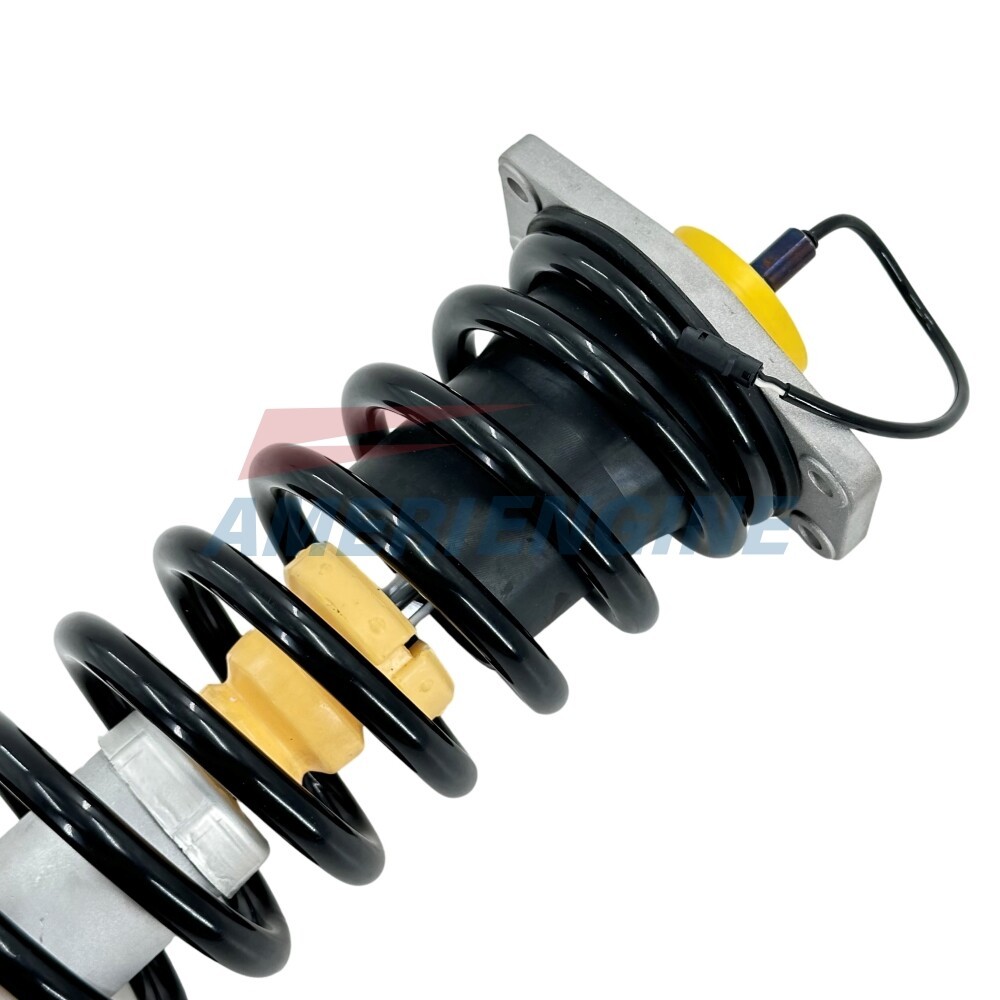 Maserati Quattroporte 2006-2013 Rear Right Strut assemblies 2 pcs P/N 31316779984