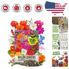 Attracting Hummingbirds & Butterflies - 1 Oz Flower Seed Mix for Vibrant Gardens 255.84 per gallon