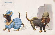 Vintage Dackel Dachshund Teckel. Dressed. Separated. V.O.ST. Old Dog PC. 1908