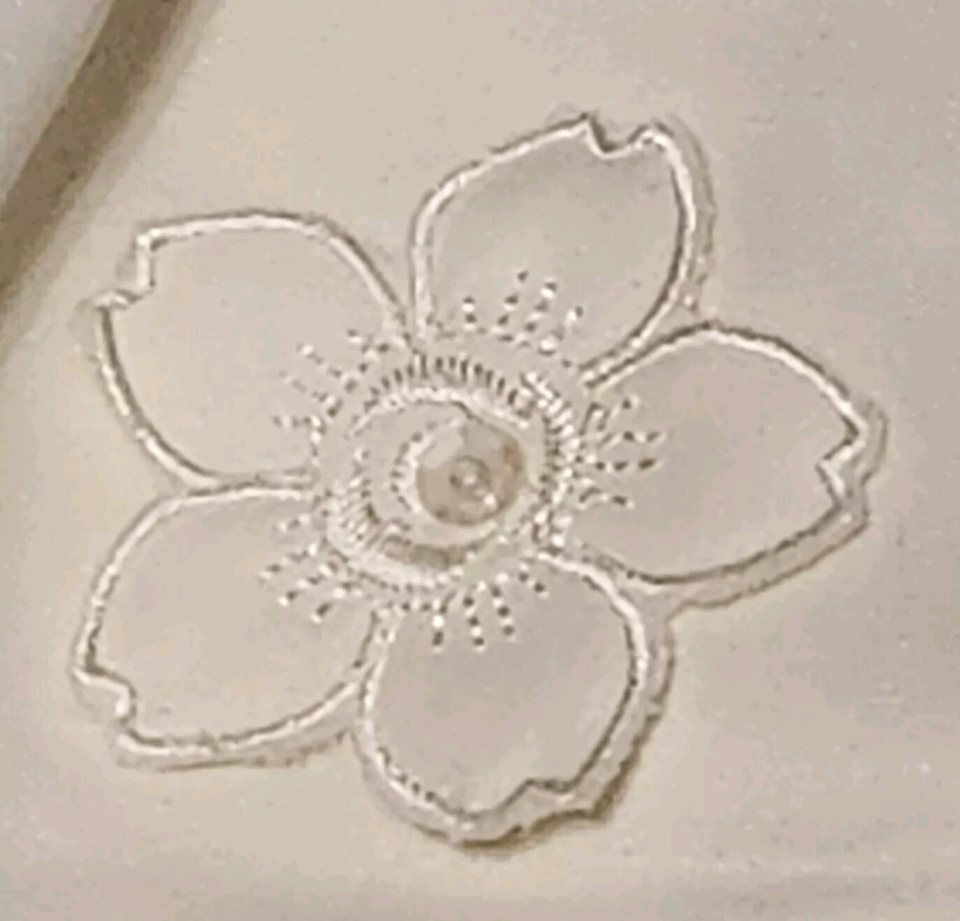 Picture 5 of 14