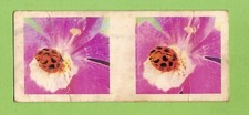 #D95.  LIPTON  TEA  THIRD   NATURE  SERIES  STEREO CARD #1  LADYBIRD BEETLE