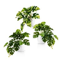 Pasch® Monstera Kunstpflanzen (20Cm) In WeißEm Keramiktopf: KüNstliche Pflanzen