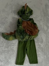 Dino Costume Infant 0-6mo Plush Body Hood Leggings Dinosaur Spirit Halloween