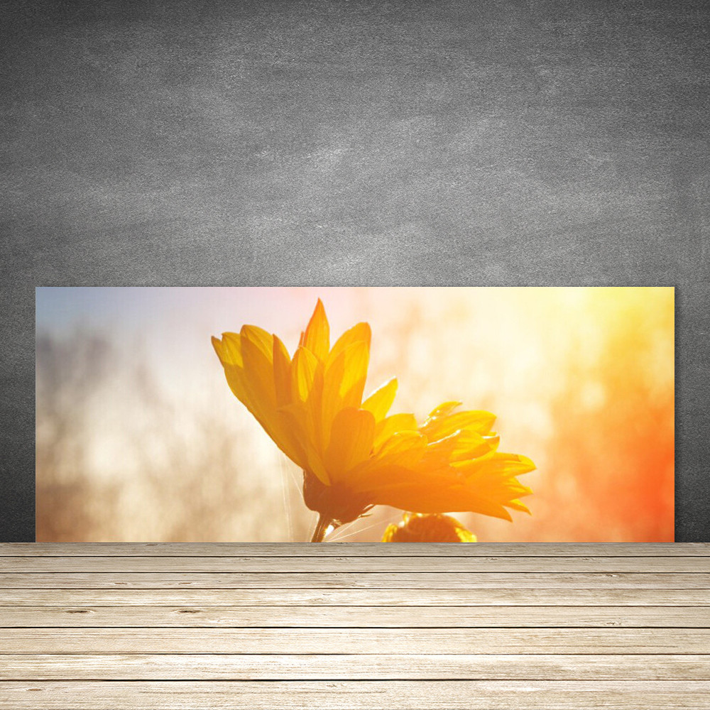 Crédence de cuisine en verre 125x50 cm fond de hotte floral jaune revêtement mural de cuisson