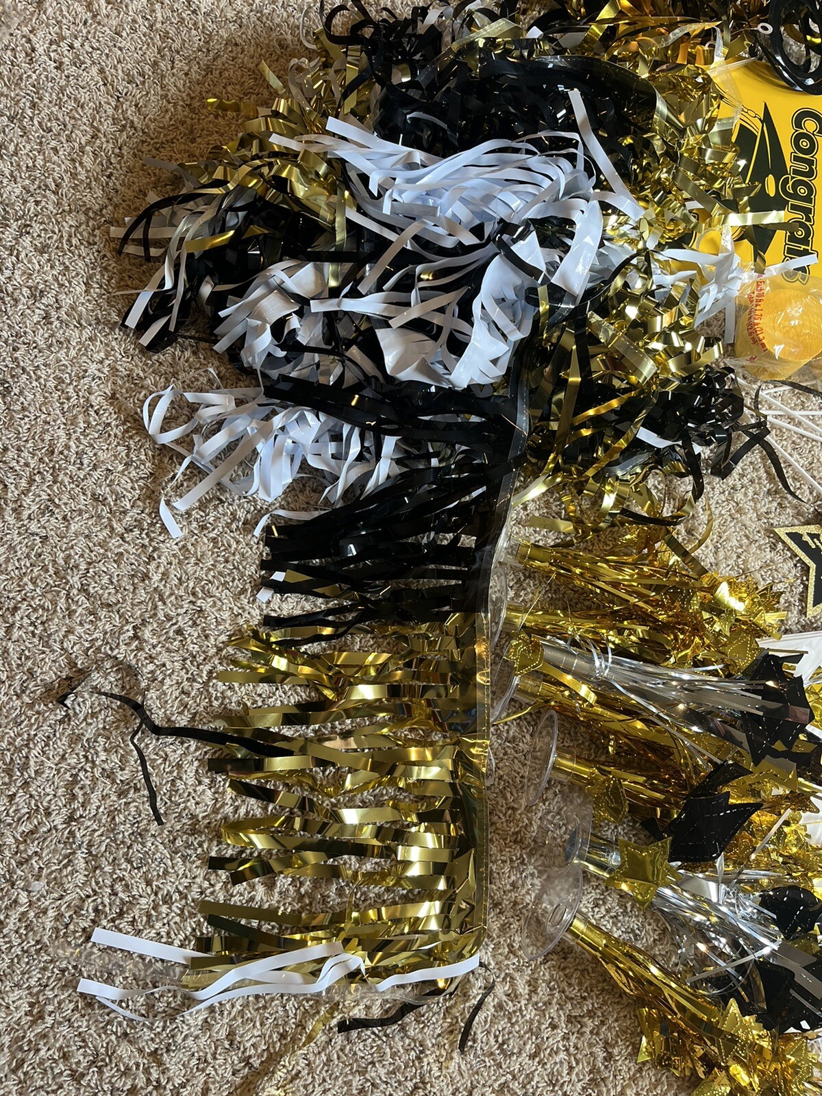 Picture 6 of 6