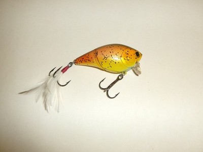 Lucky Craft RC 2.5 WX Jointed Wake Bait Lure - Used