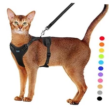  Cat Harness and Leash Set for Small to Small (Chest: 13.7" - 15.7") Black