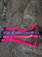 dog collars for electric fence 4 included -small