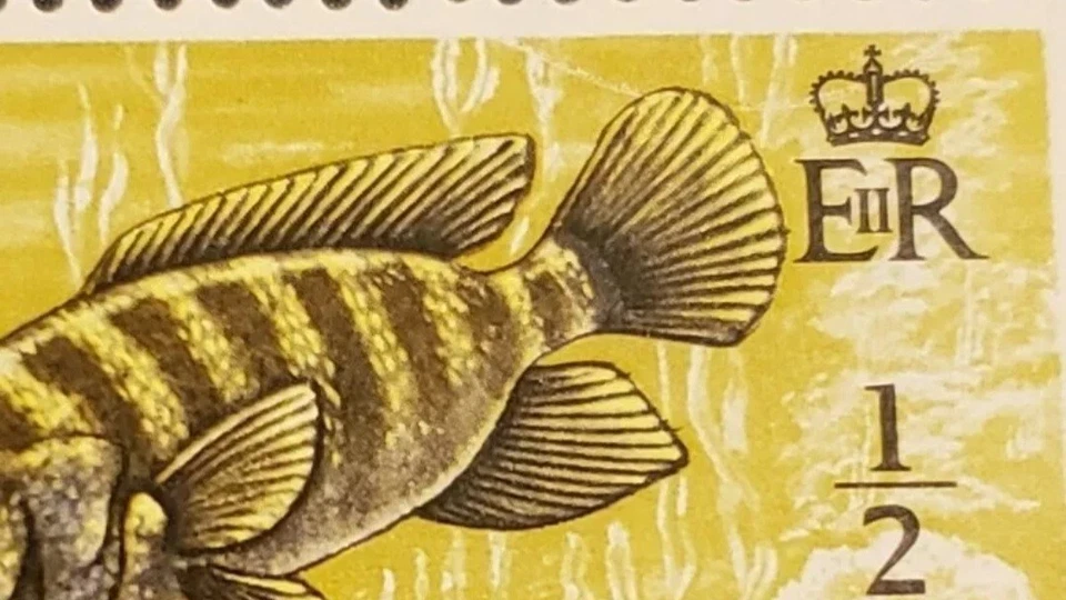 BELIZE 1973 Plate Scratch Variety (Scott 312;SG 347) — 第 2/3 张图片