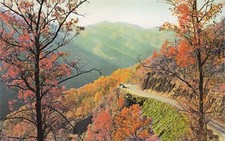 Newfound Gap Asheville NC Great Smoky Mountains Scenic Vtg Postcard J46