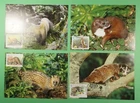 DR WHO TAIWAN CHINA 4 FDC MAXIMUM CARD ANIMAL R62557