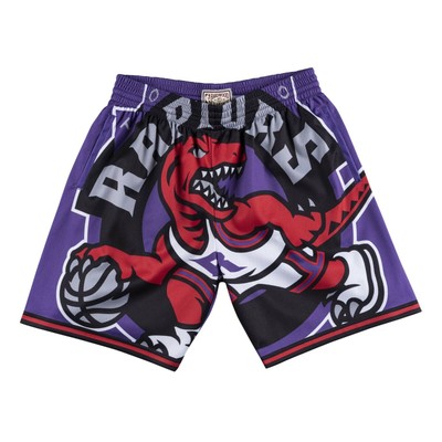 raptors nba shorts