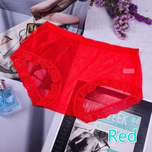 2X Lady Sheer Mesh Lace Briefs Panties Plus Size Sexy Underpants Underwears Cosy