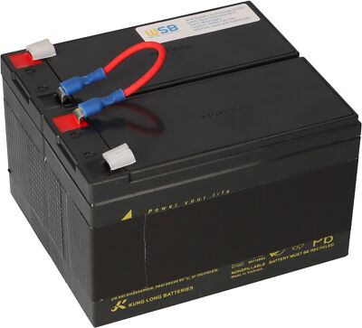 Akku kompatibel APC Back UPS RS 1200 1500 ersetzt RBC109 