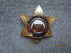 3" Security Guard Badge 3oz
