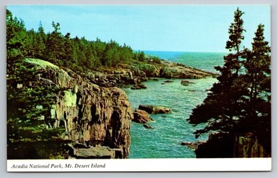 Scenic Schoodic Point Surf, Acadia National Park, Maine Coastline View Postcard