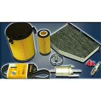 Filtersatz Wartungskit Inspektion Xxl Seat Skoda Vw Golf Octavia Touran 2,0 Fsi
