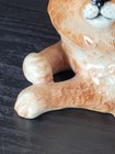 VTG  Beswick England Persian Cat Figurine Ginger Orange Gloss Finish No. 1876  — photo 9