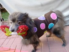 Lil' Dog Fleece Reversible Snuggie - Brown with Colorful Dots - Medium