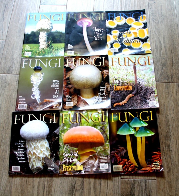 Fungi Magazine - 9 issues from 2024-2026 MUST L@@K