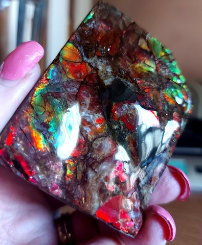 Ammolite Ammonite tabletop Display 69x54.5x16.5mm #13541