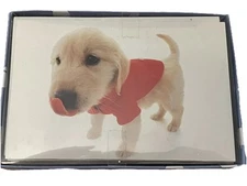 Hana Deka Club 10 Blank Notecards with Envelopes Dog in Red Sweater