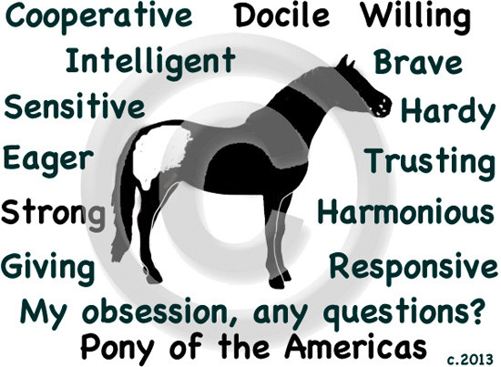 Pony of the Americas ossessione del cavallo domande? T shirt Choices