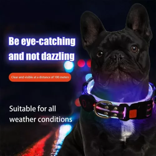 Dog Led Light Up Collar Rechargeable Waterproof Glowing Adjustable Dog Collar