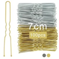 Haarnadeln Silber Gold 100 StüCk Haarnadel U-FöRmige Bobby Pins Metall Haarklem