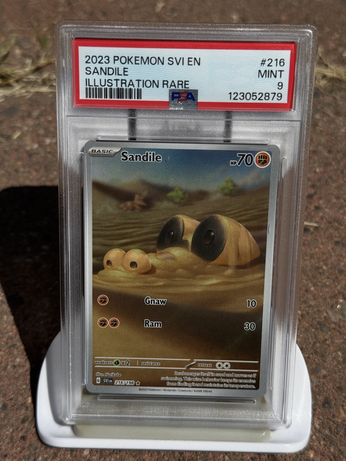 Sandile 216/198 Holo from Scarlet & Violet Base Set SV01