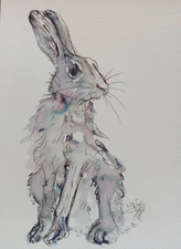 Original Small Hand Drawn Pen & Ink Wash Drawing Illustration of a Sitting Hare