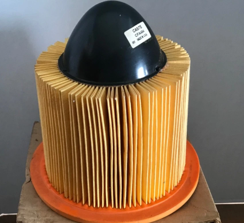 Filtro de aire Casite CFA-484 para Ford F150 F250 E150 Expedition Mustang. Lote de 2 Foto 2 de 2