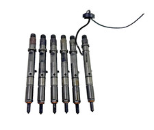 6 Injektor 0432133795 059130201F Audi A4 A6 VW Skoda 2.5 TDI Einspritzdüse