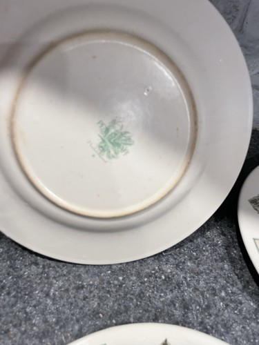 Pfaltzgraff Naturewood dinner plate Set Service For 4 - Picture 7 of 24