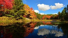 Landscape nature fall leaves reflection Custom Gaming Mat Desk